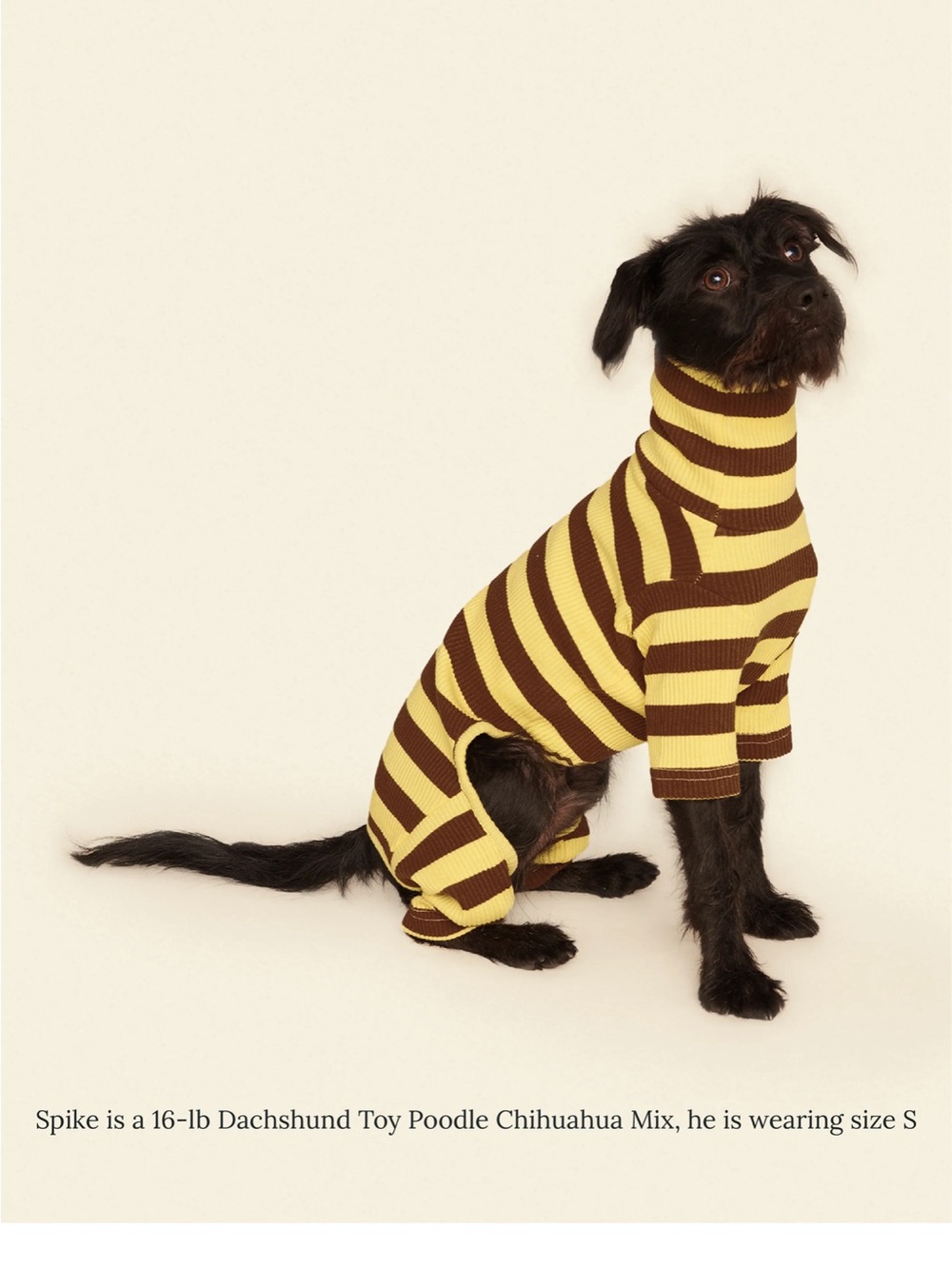 Little Beast Dog Striped Turtleneck Sweater - Yellow and Brown